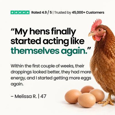 Bolura Daily Flock Defence