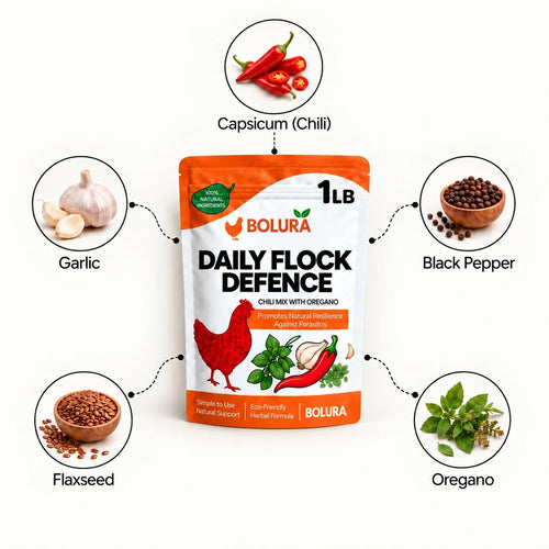 Bolura Daily Flock Defence