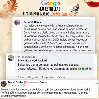 Bolura Defensa Diaria del Gallinero