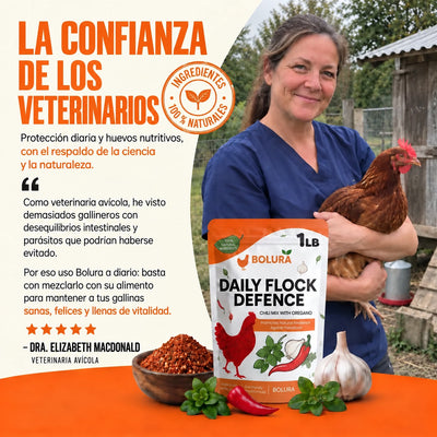 Bolura Defensa Diaria del Gallinero
